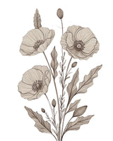 Botanical illustration of four poppy flowers with stems, leaves, and buds in a muted sepia tone on a plain white background.