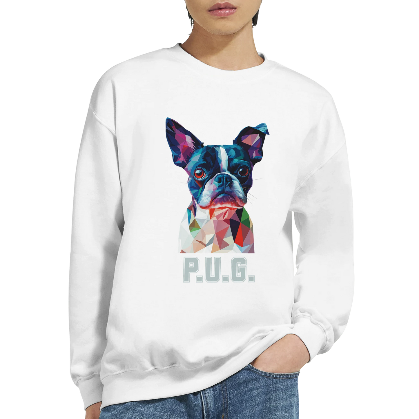A person wearing a white sweatshirt featuring a vibrant polygon-style dog portrait with the text “P.U.G..” below.