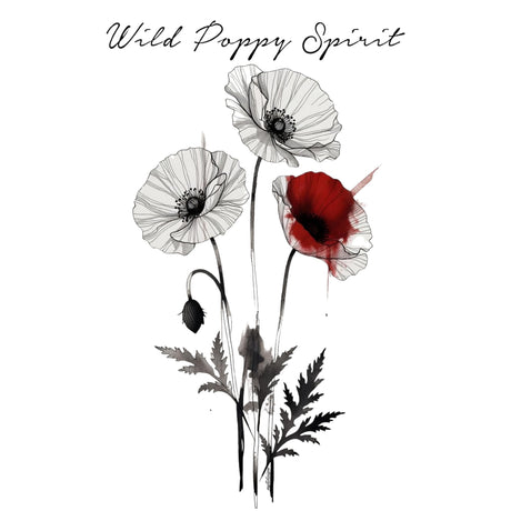 A graphic design featuring three poppy flowers on a white background, with two white poppies and one red poppy, accompanied by black ink-style leaves and stems. The text 'Wild Poppy Spirit' is written in a black cursive font at the top.