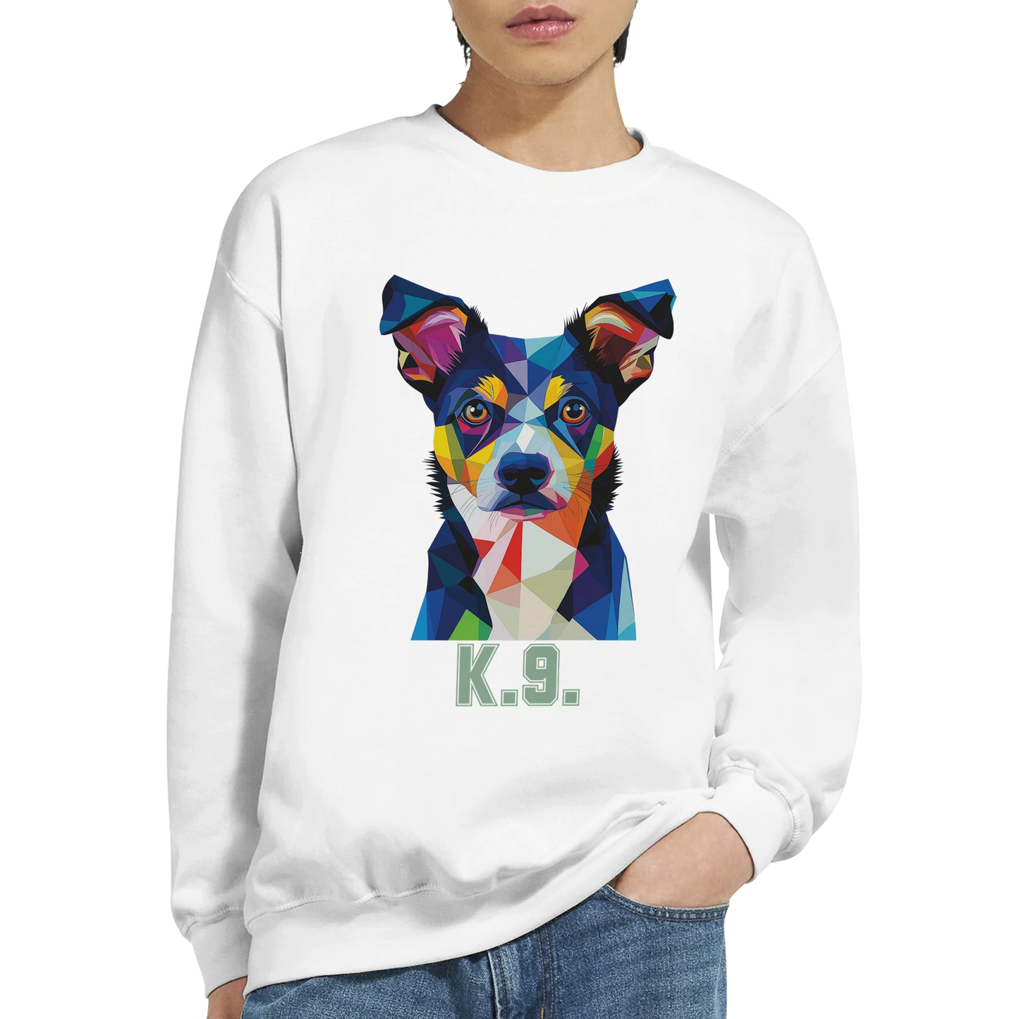 K9 Geometric Dog Sweatshirt – Bold Colorful Polygon Art | MytsDesigns