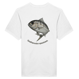White t-shirt with a fish graphic and text on the back against a white background